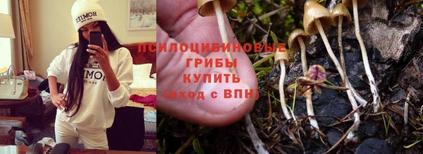 mdpv Нея