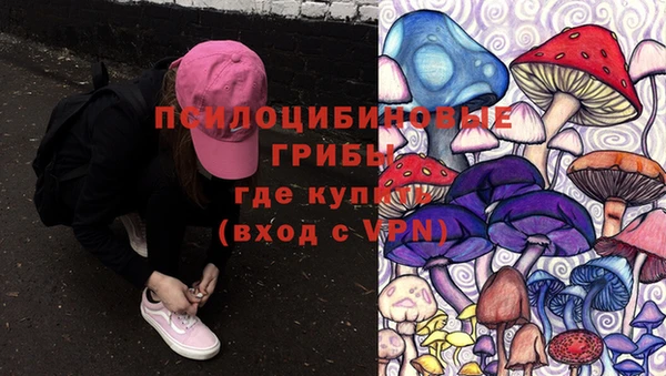 mdpv Нея