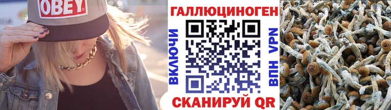 KRAKEN tor  Тюкалинск  Псилоцибиновые грибы Psilocybe  сколько стоит 
